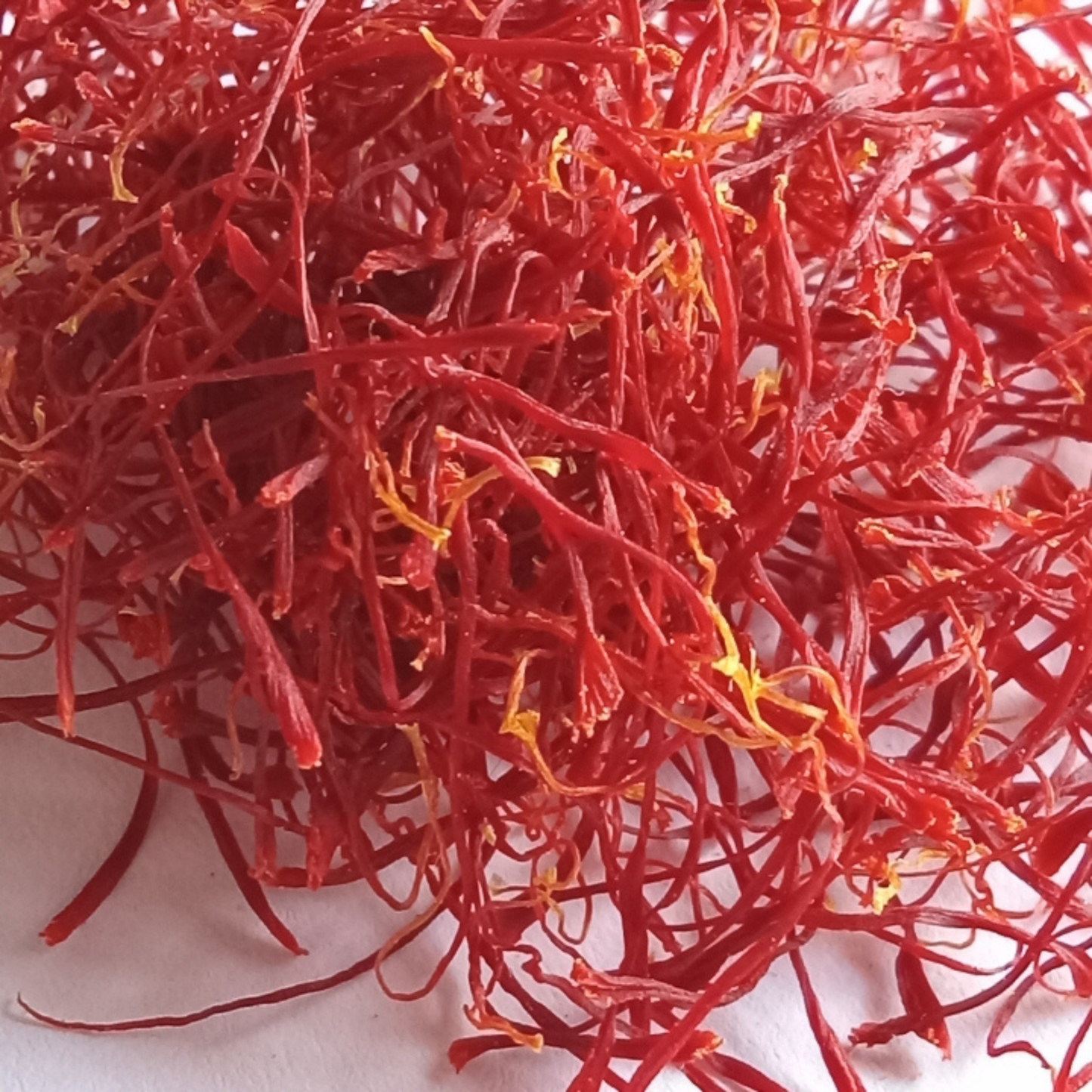 Harvested red saffron threads from Crocus sativus flowers